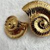 Boucles d'oreilles Nautilus – Image 3