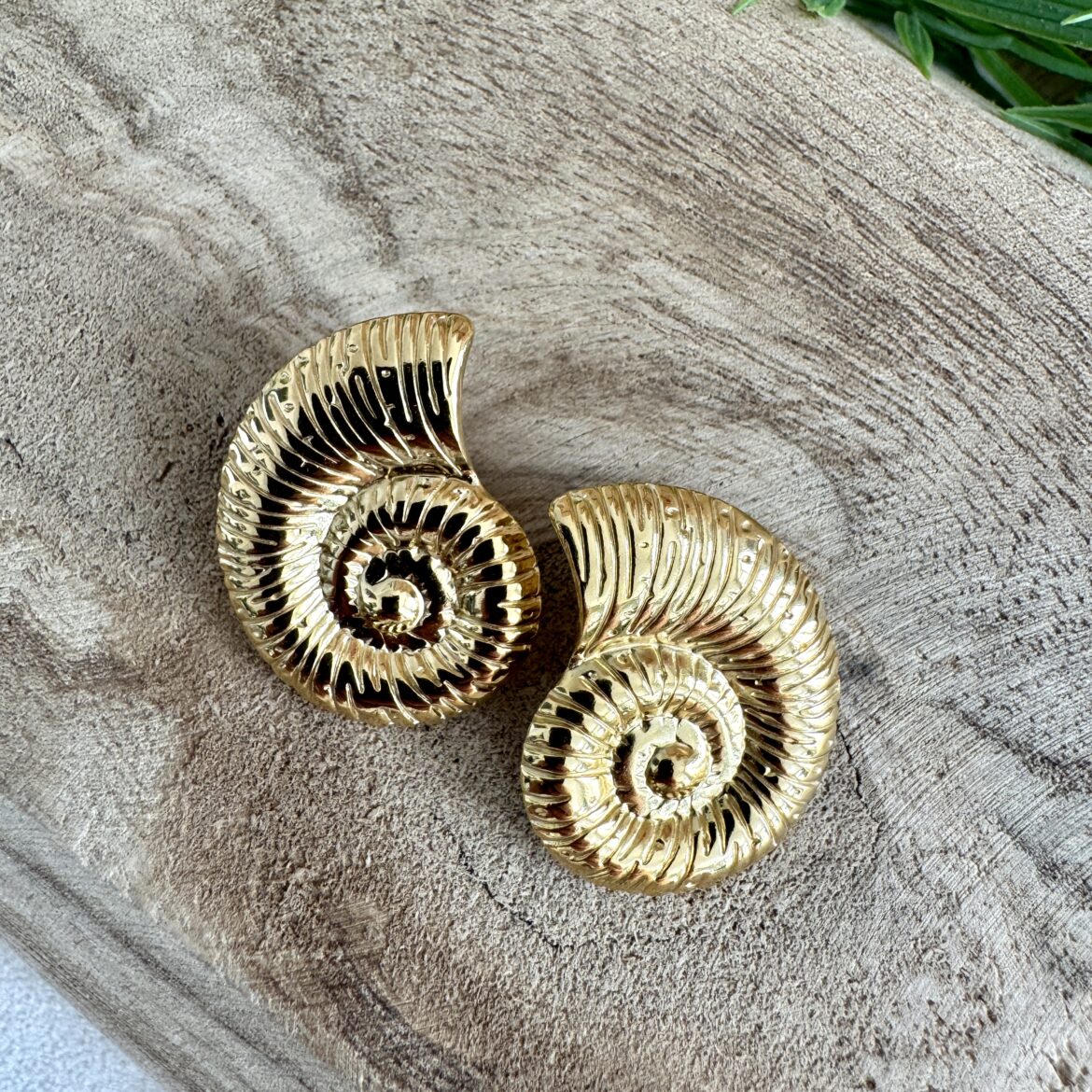 Boucles d’oreilles Nautilus